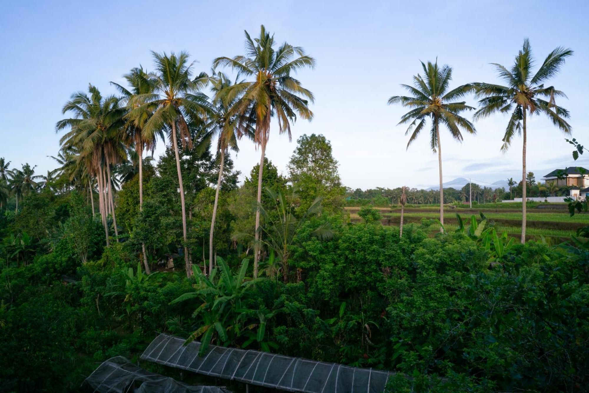 Karang Lila Bhuana Ubud Екстер'єр фото